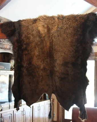 Buffalo Hide