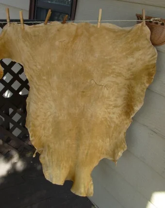Lamb Hides