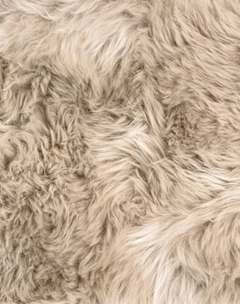 Sheep Fur